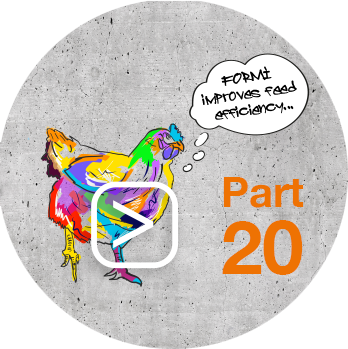 Feed_Efficiency_mit_Play_Button_Part20_Huhn.png